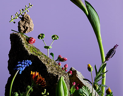 My Garden